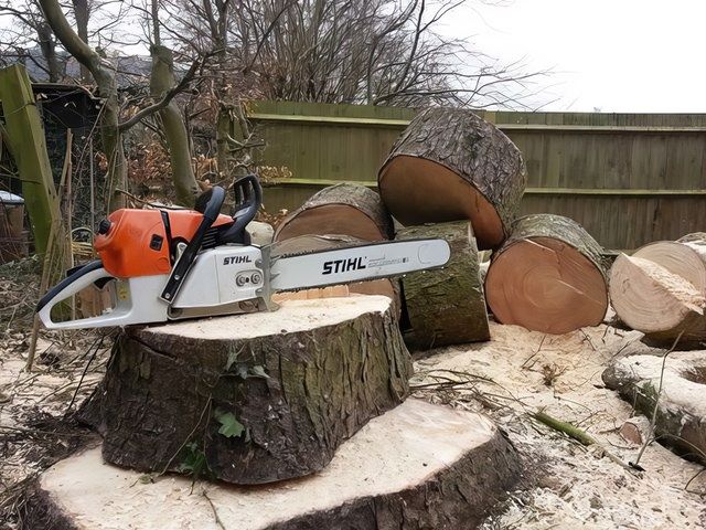 Professional Tree Surgeons in Hawkinge